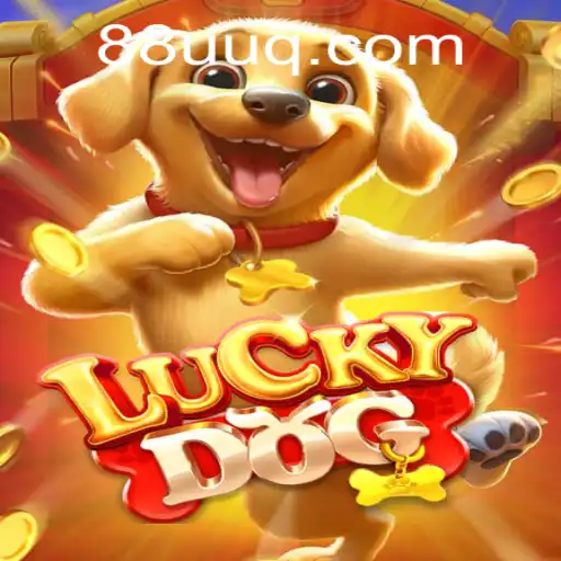 Explorando o Mundo de LuckyDog: Regras e Como Jogar